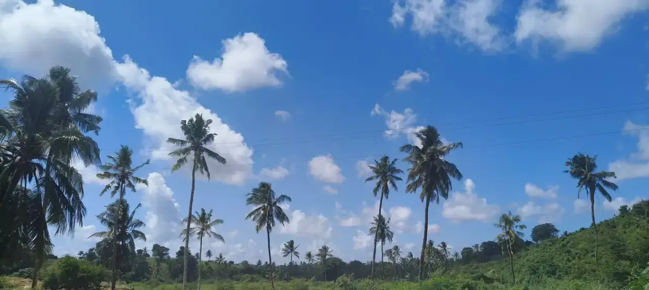 Kenlife coastal vegetation