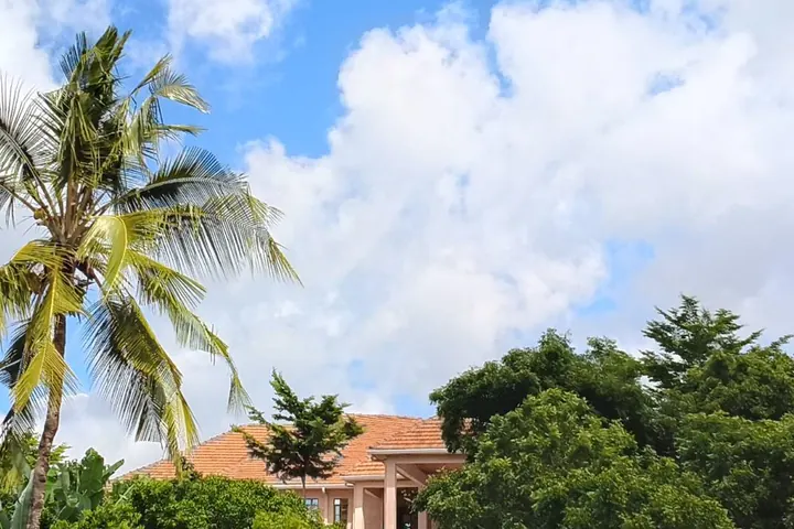 Palm and resort roofline under a bright sky
